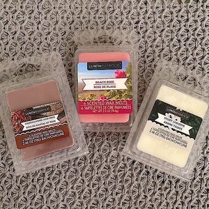 NEW • Set of 3 • Variety Wax Melts